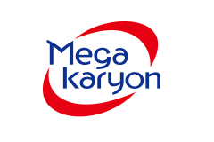メガカリオン